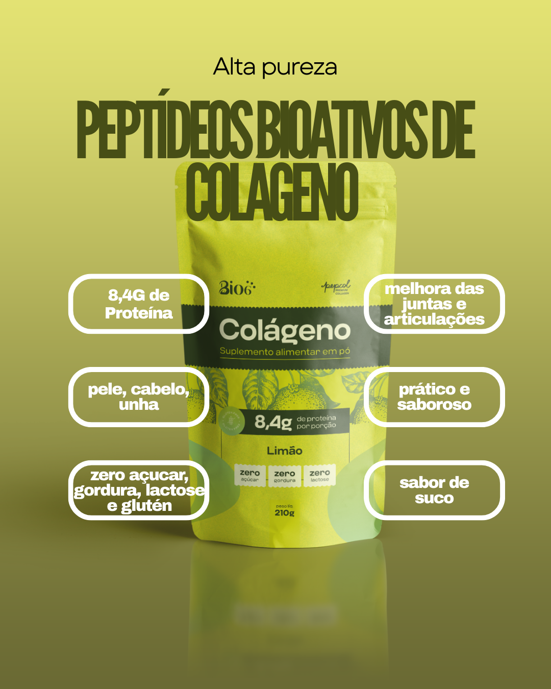 Colágeno Bio6 - Frutas Vermelhas
